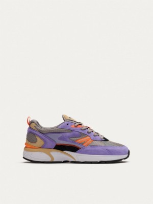 Purple HOFF Nebraska Men's Trainers Ireland | V5N-6984